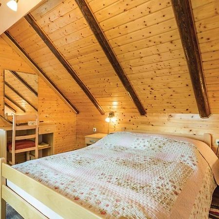 Apartman"Zibar" Skrad Extérieur photo